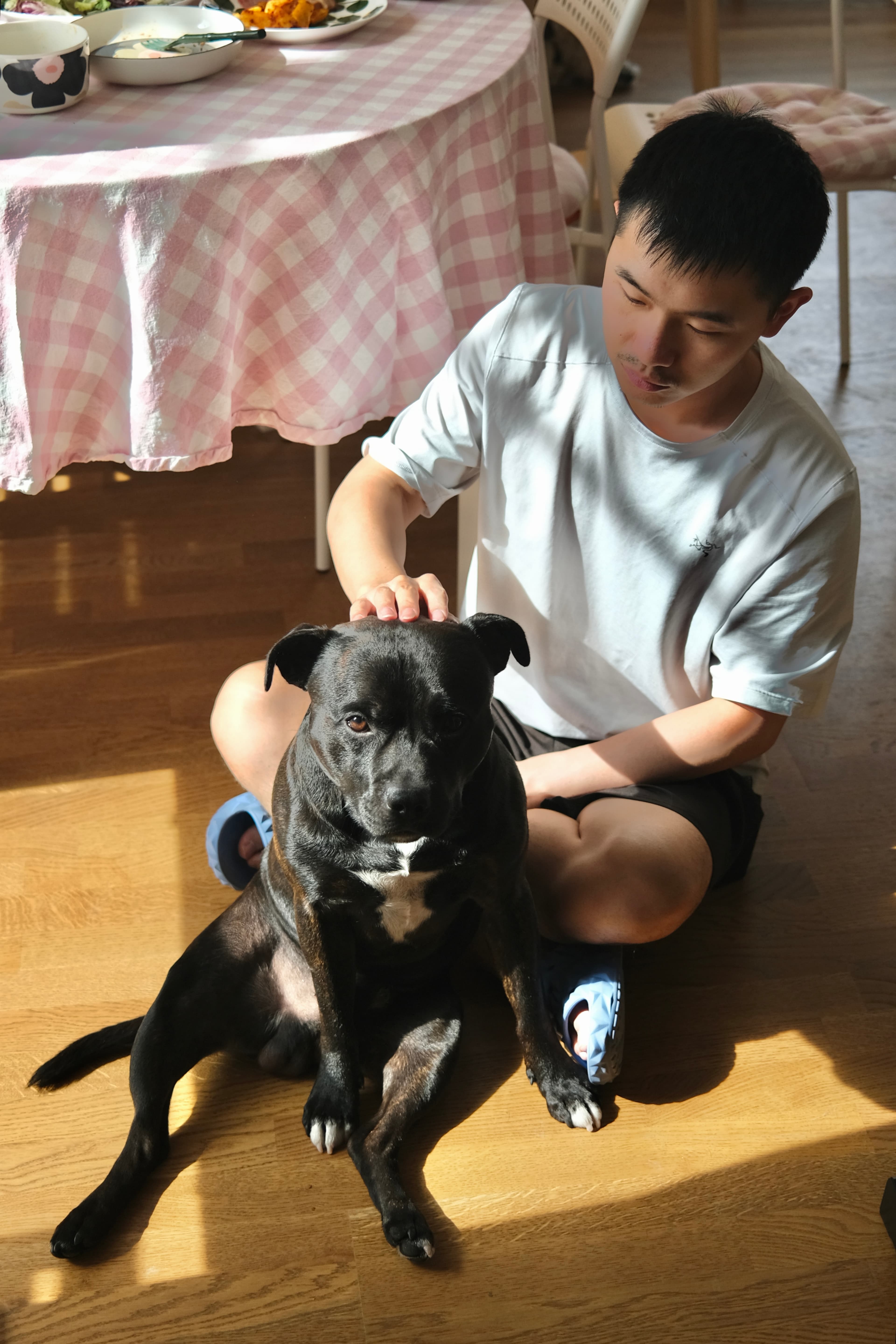 Evan sitting with Aston during a calm, trust-focused dog interaction