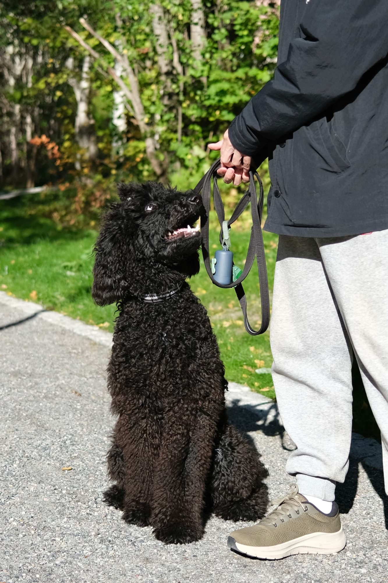 A black poodle sitting beside Evan and looking up at him outdoors