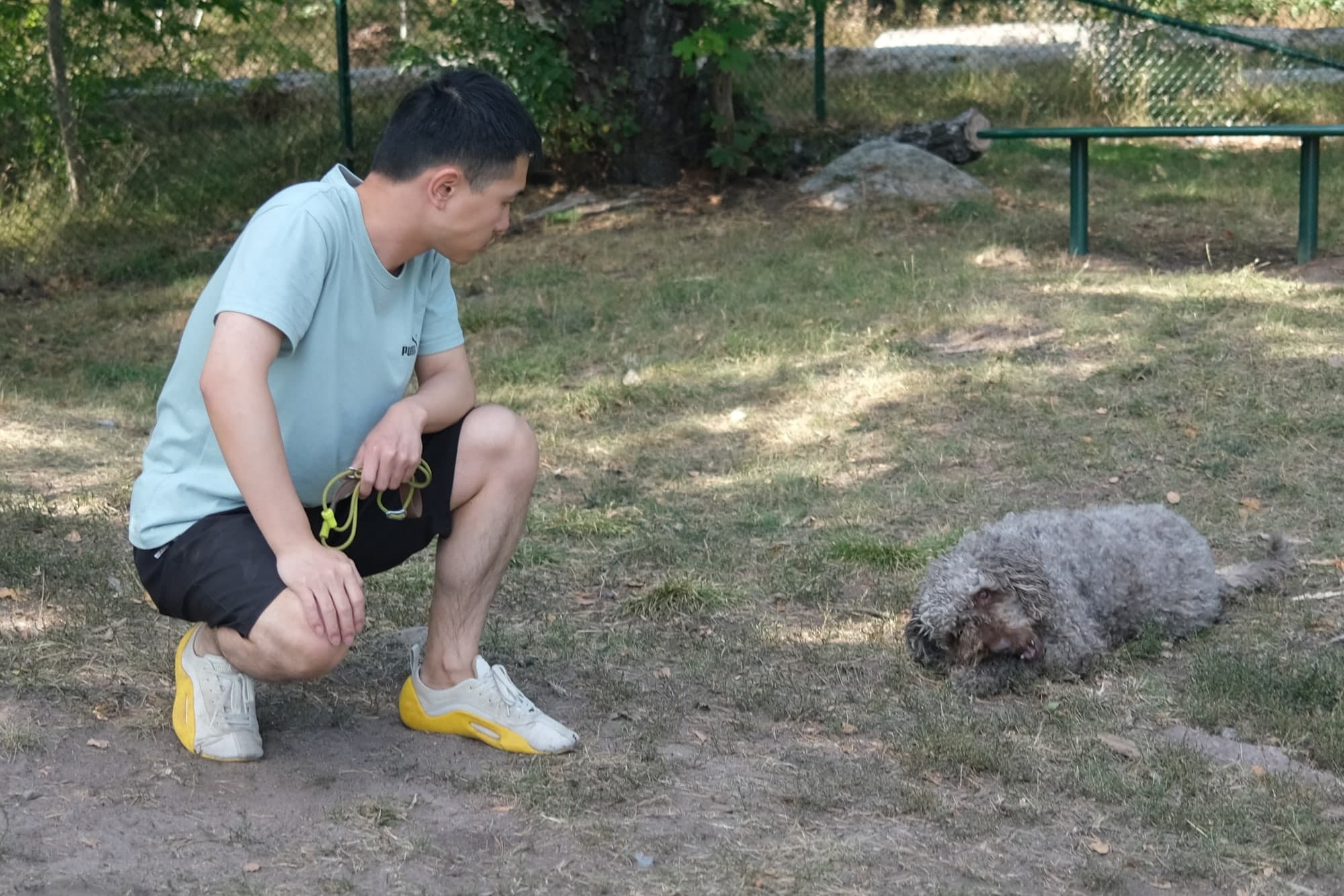 Evan calmly observing a curly grey dog during an outdoor training moment