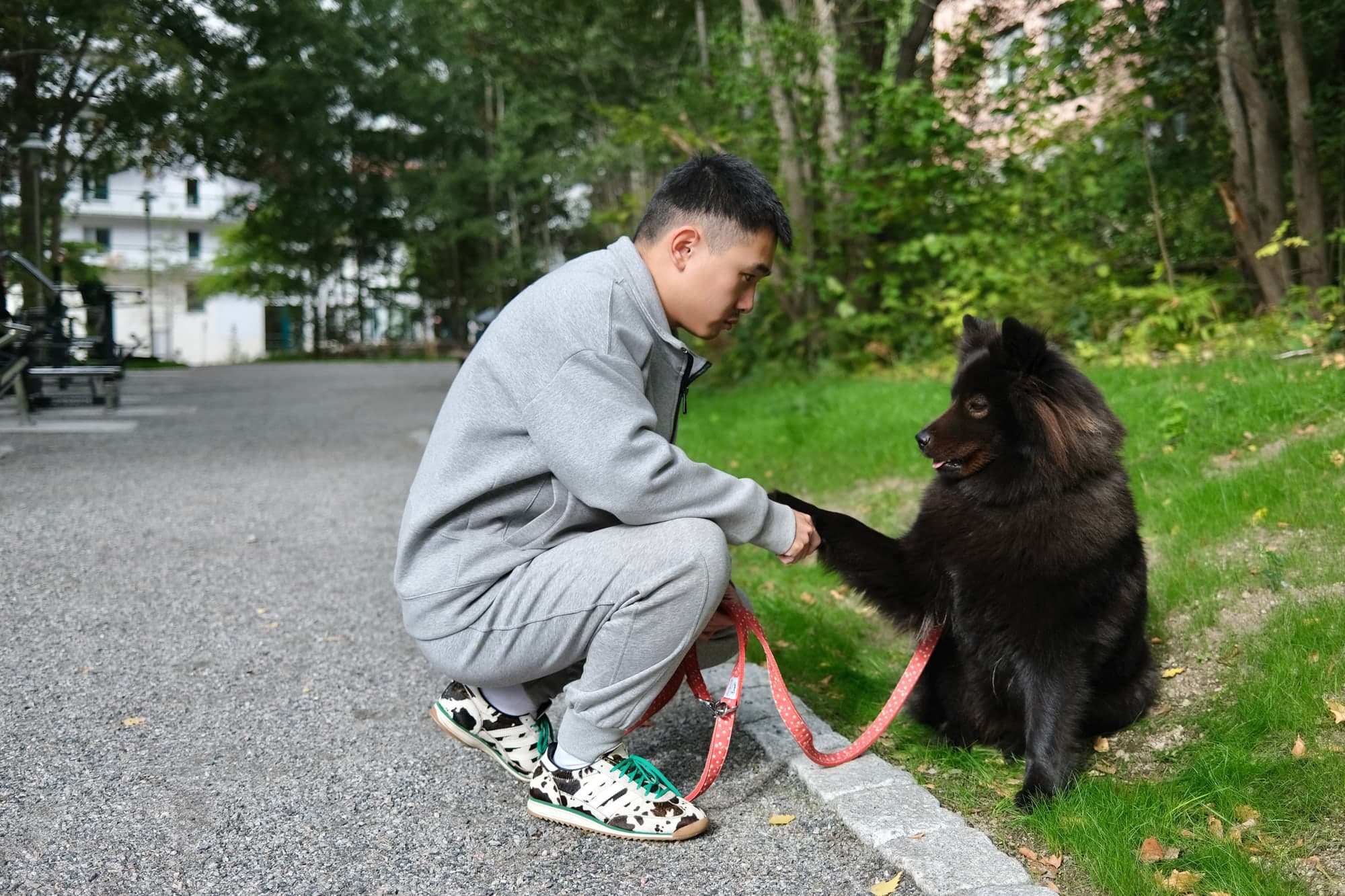 Evan crouching outdoors and working directly with a fluffy black dog