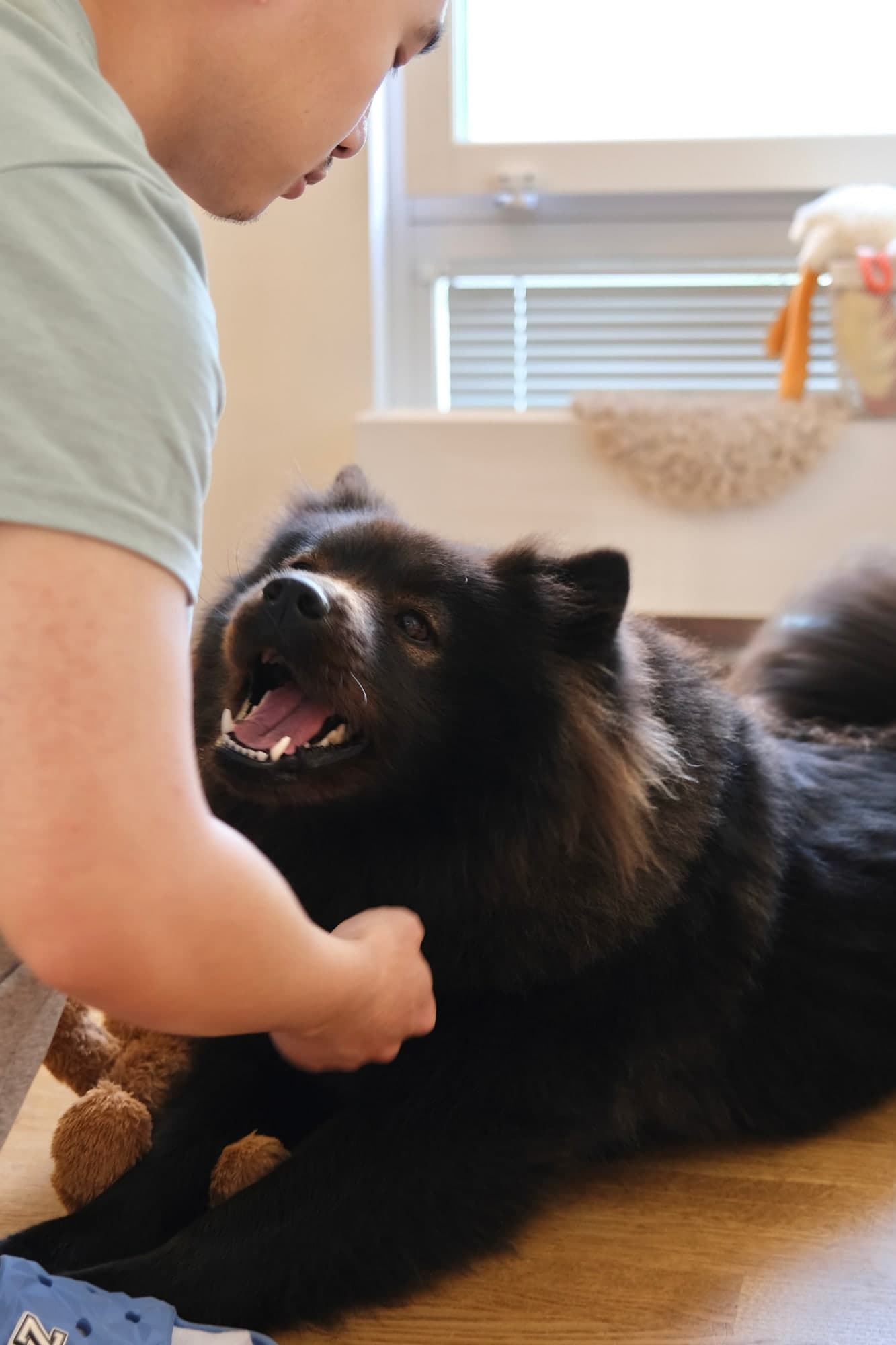 Evan sitting close to a fluffy black dog and stroking its chest indoors