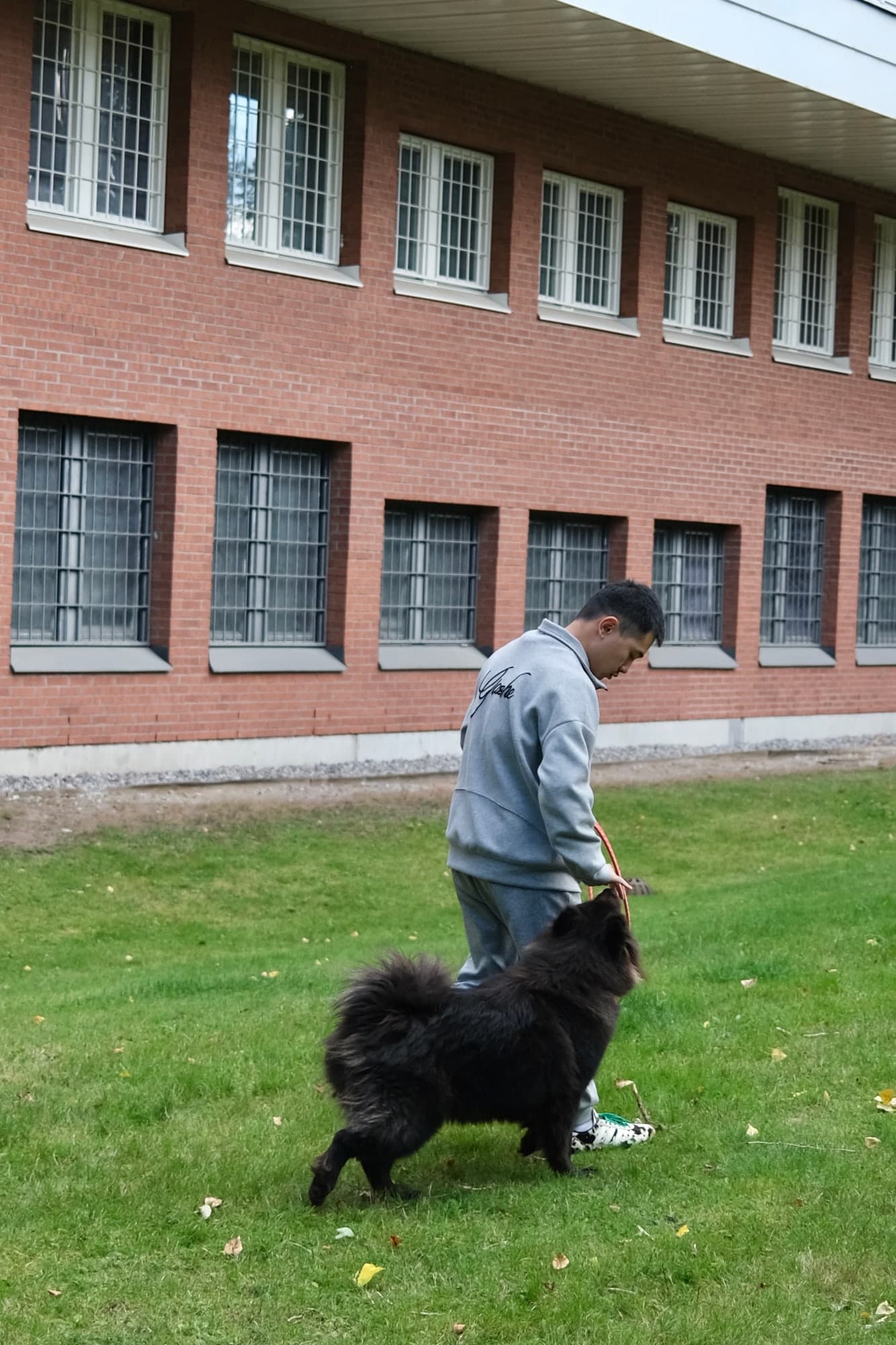 Evan guiding a fluffy black dog on grass beside a brick building