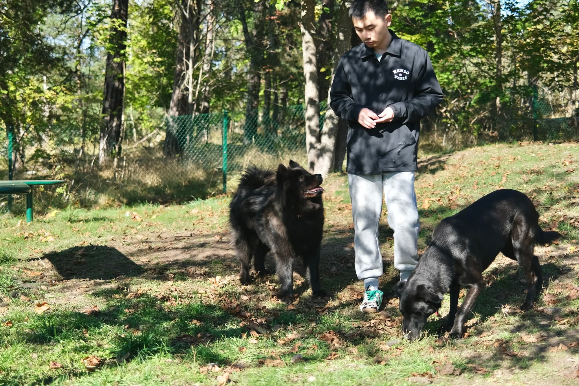 Evan outdoors with a fluffy black dog looking up at him and another black dog sniffing the ground