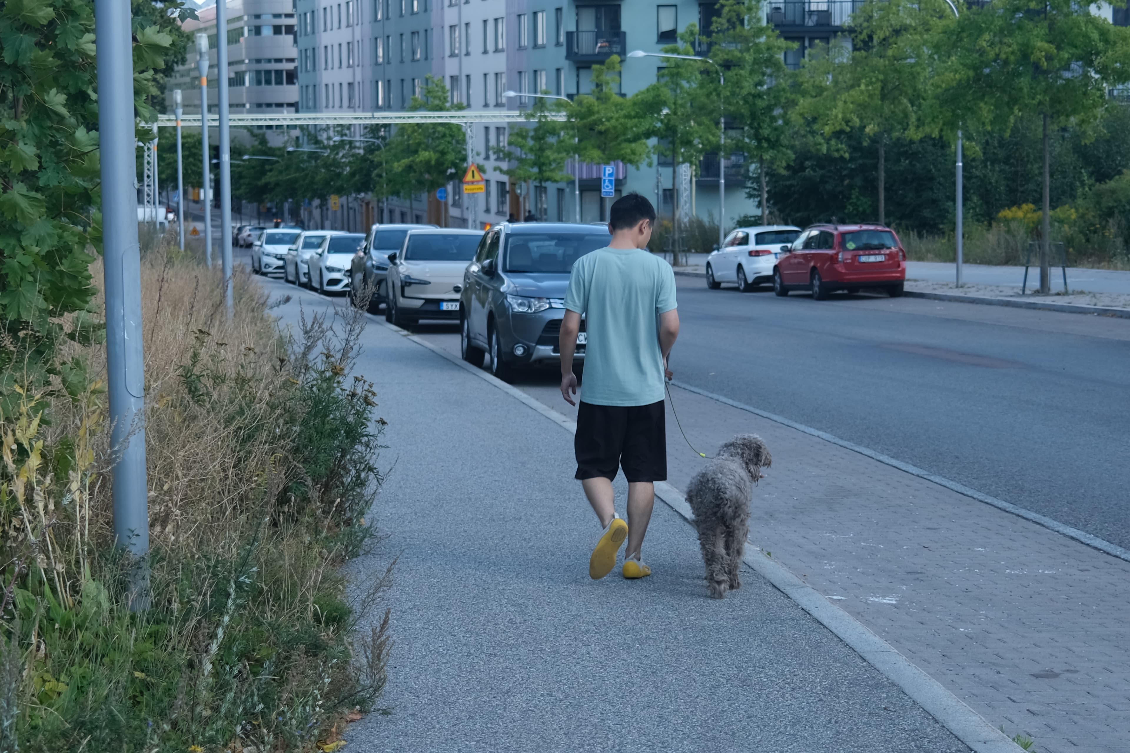 Evan walking Jum Jum along a city sidewalk in Stockholm