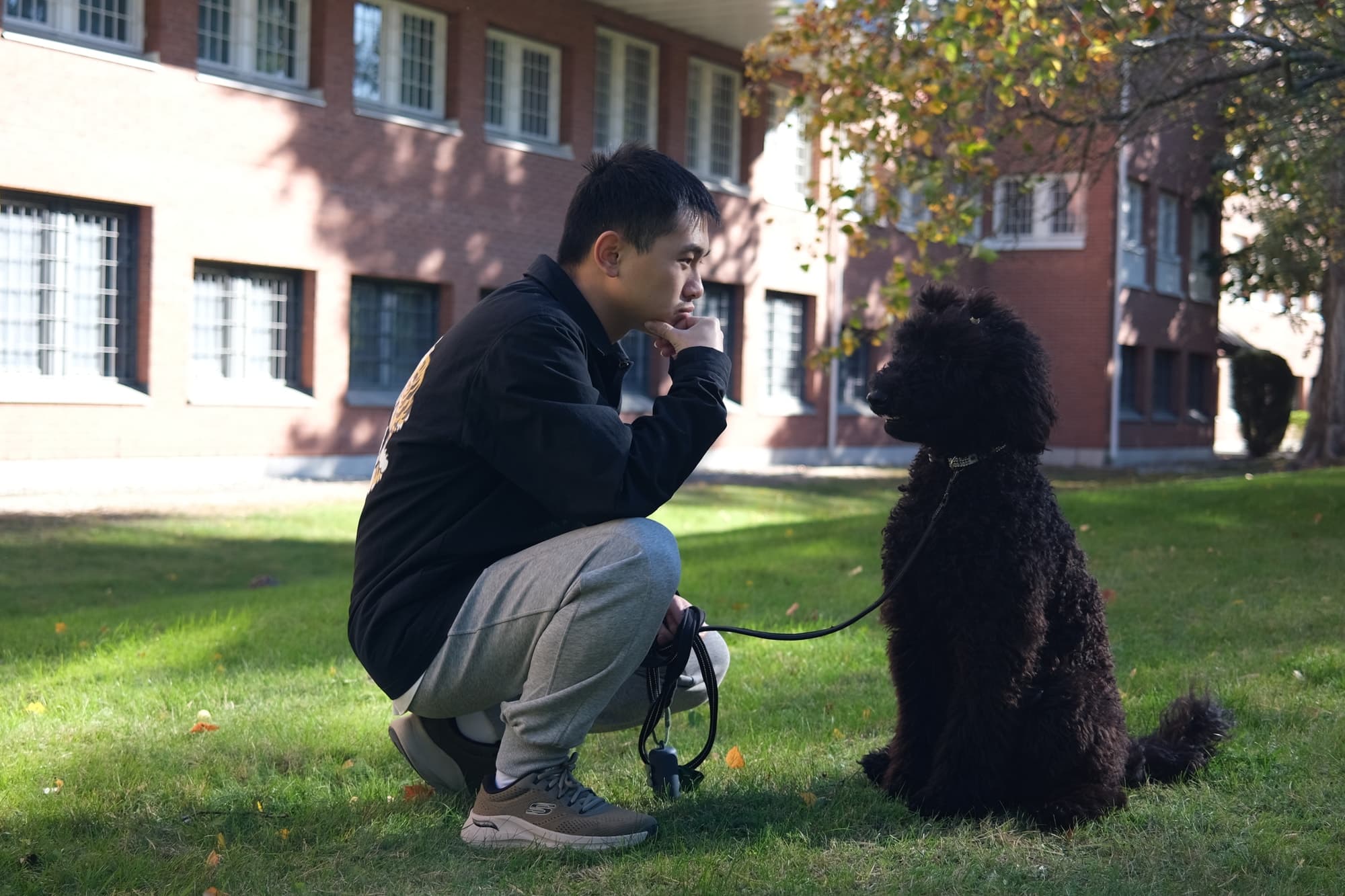 Evan crouching and observing a black poodle on grass in front of a brick building